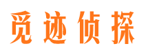 蓝田侦探